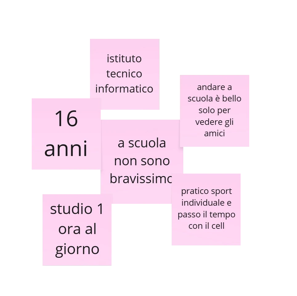 Sintesi profilazione secondo intervistato, Michele